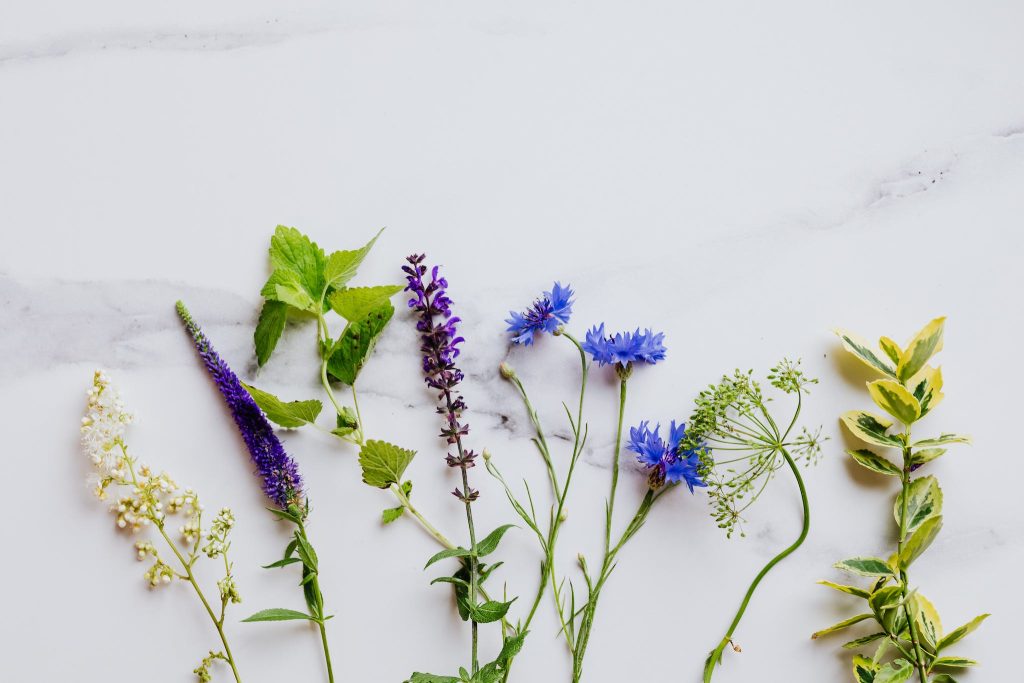 Edible Flowers and Mint Leaves on White Surface