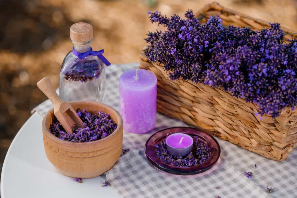 Wooden bowl with dried lavender on field background. Flower herbal tea drink. Aromatherapy, medicine ingredient. Calming beverage