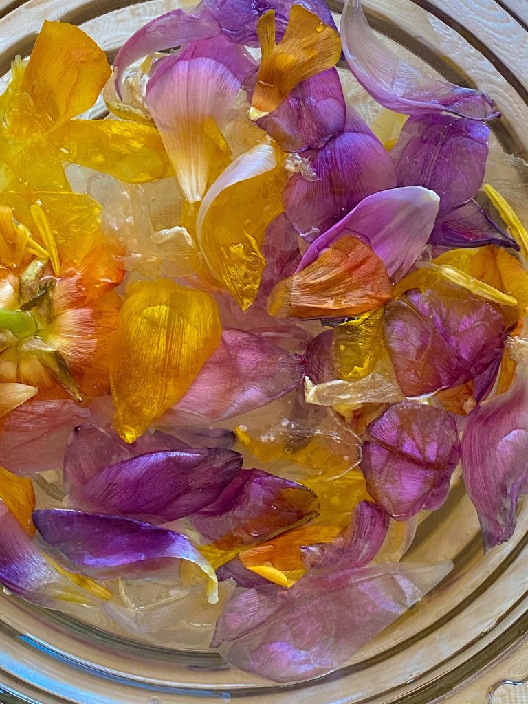 Various flowers petals in glass bowl