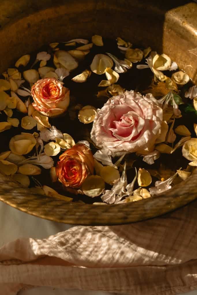 Beautiful pink and orange roses with petals floating in a bronze basin lit by warm sunlight.